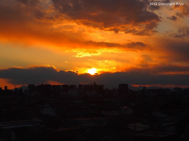 E1042212_1280x960_補正済.jpg