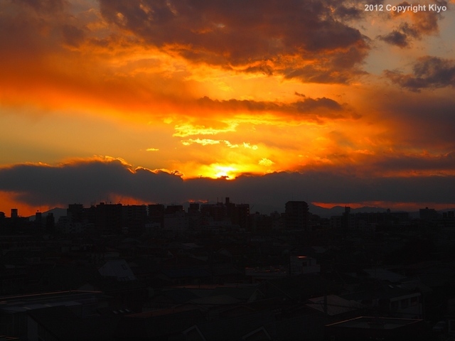 E1042216_1280x960_補正済.jpg