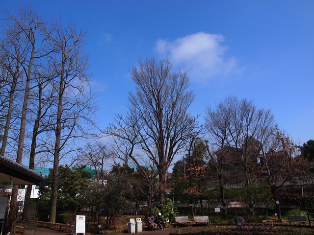 E3065355_1280x960_補正済.jpg