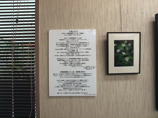 E3065358_1280x960_補正済.jpg