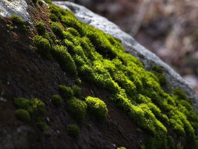 E3065418_1280x960_補正済.jpg