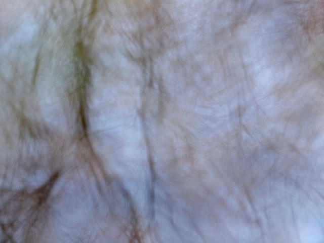 E3065514_1280x960_補正済.jpg