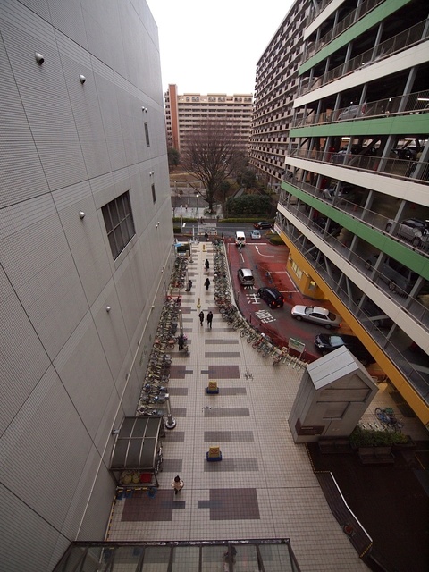 E3186119_1280x960_補正済.jpg