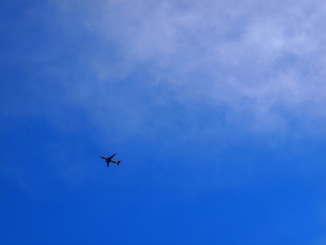E3256616_1280x960_補正済.jpg