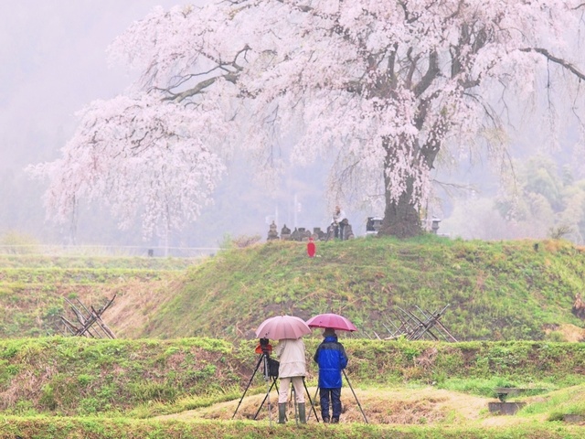 E5017459_1280x960_補正済.jpg