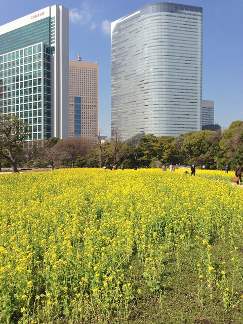 IMG_6036_2048x1536_補正済.jpg