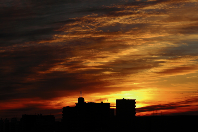 IMG_8123_1280x853.JPG