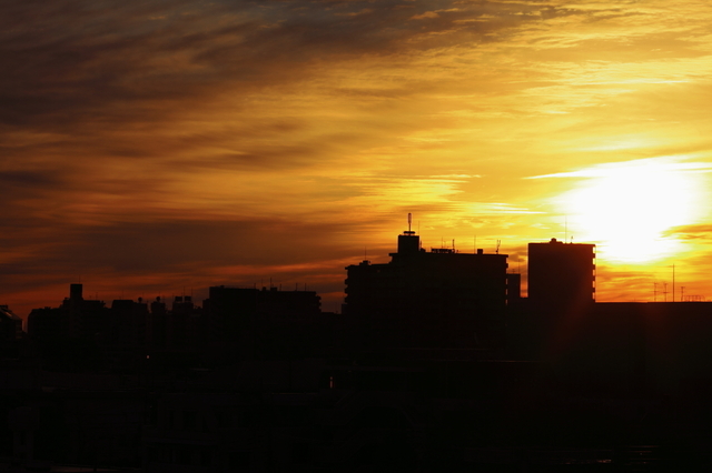 IMG_8156_1280x853.JPG