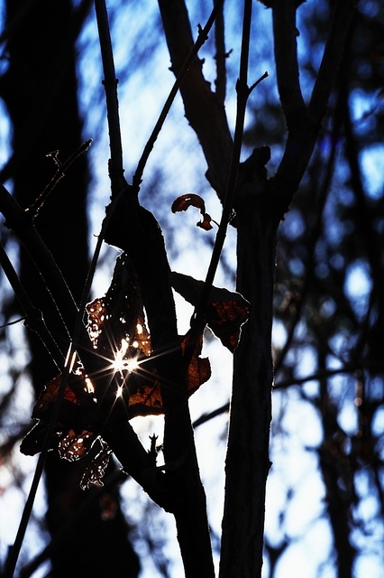 IMG_8218_1280x853_補正済.jpg