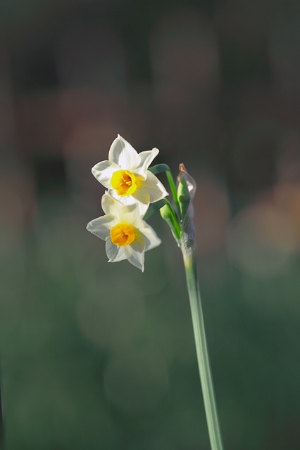 IMG_8236_1280x853_補正済.jpg