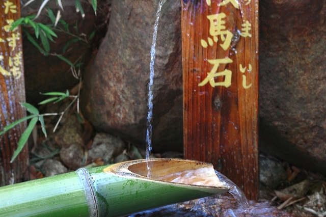 IMG_8250_1280x853_補正済.jpg