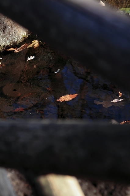 IMG_8260_1280x853_補正済.jpg