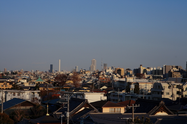 IMG_8560_1280x853.JPG