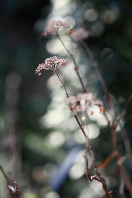 IMG_8660_1280x853.JPG