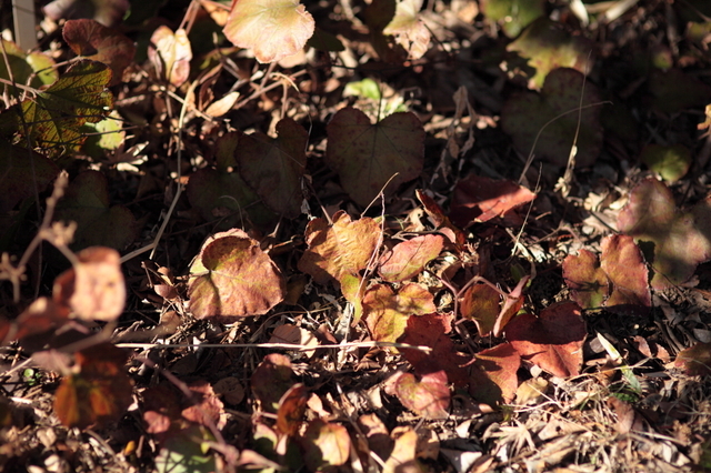 IMG_8664_1280x853.JPG