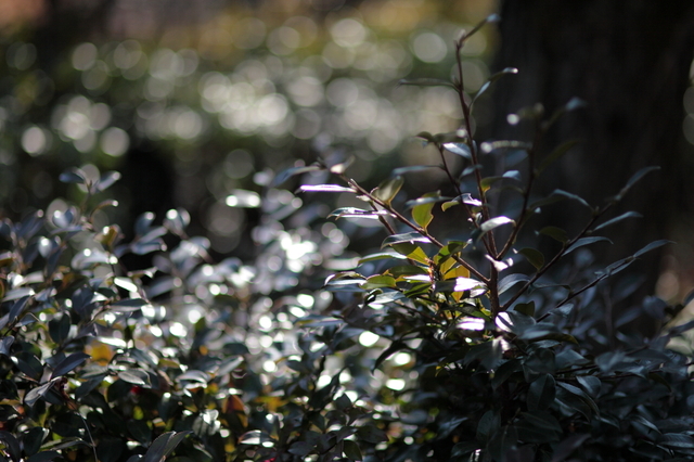 IMG_8674_1280x853.JPG
