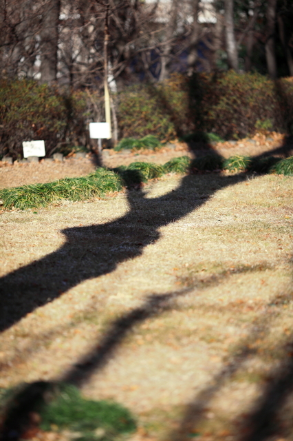 IMG_8678_1280x853.JPG