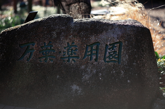 IMG_8687_1280x853.JPG