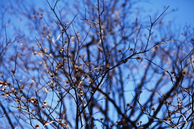 IMG_8710_1280x853.JPG