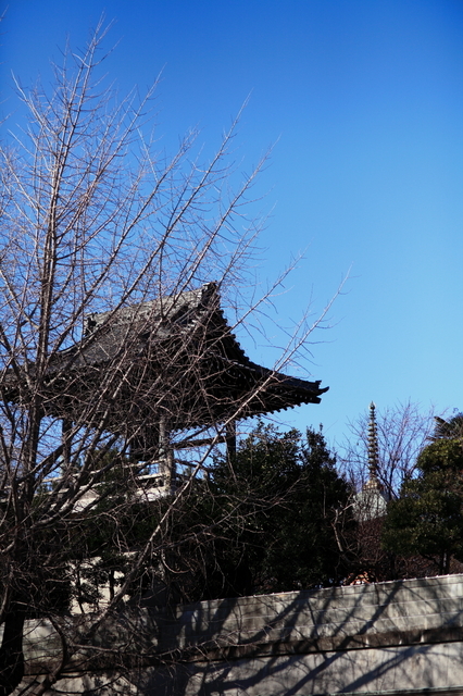 IMG_8712_1280x853.JPG