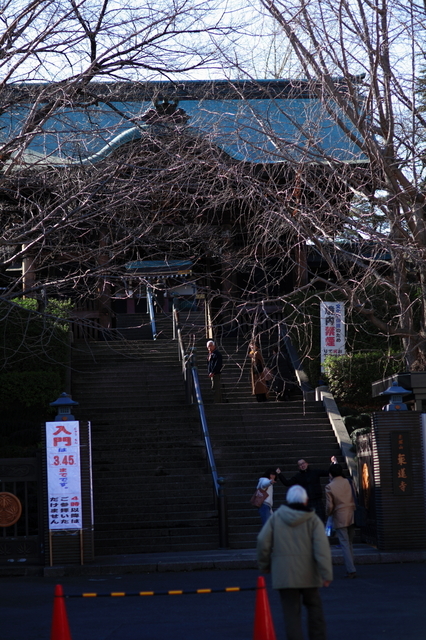 IMG_8714_1280x853.JPG