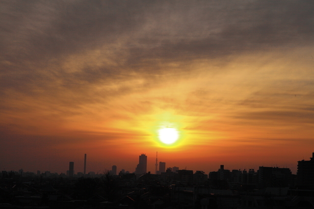 IMG_8783_1280x853.JPG
