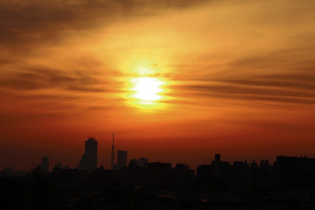 IMG_8802_1280x853.JPG