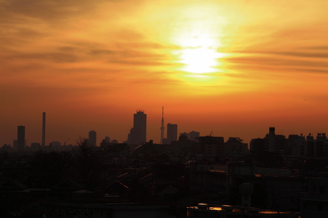IMG_8805_1280x853.JPG