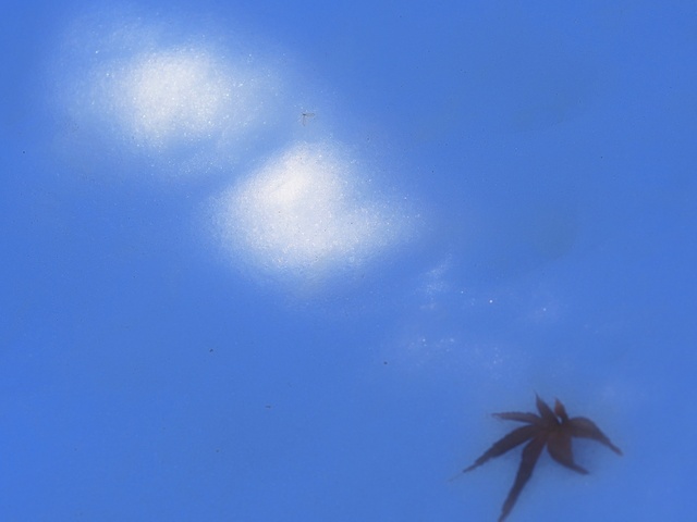 M1196509_2048x1536_補正済.jpg