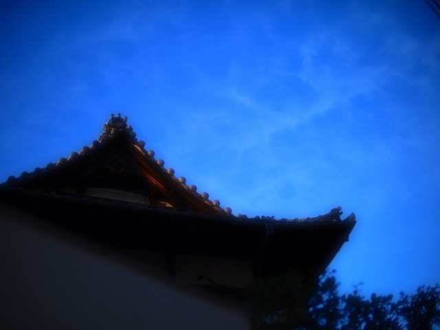 M1207090_2048x1536_補正済.jpg