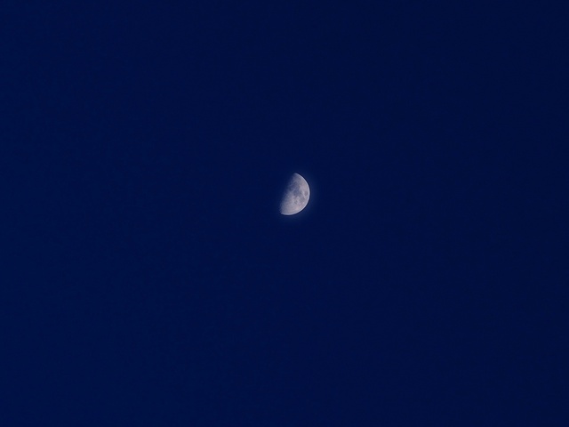 M1207126_2048x1536_補正済.jpg