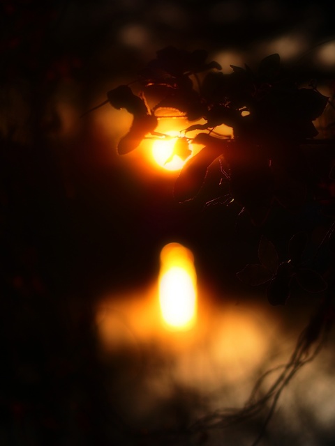 M1277562_2048x1536_補正済.jpg
