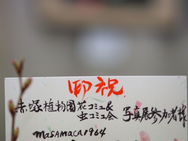 M3058803_2048x1536_補正済.jpg