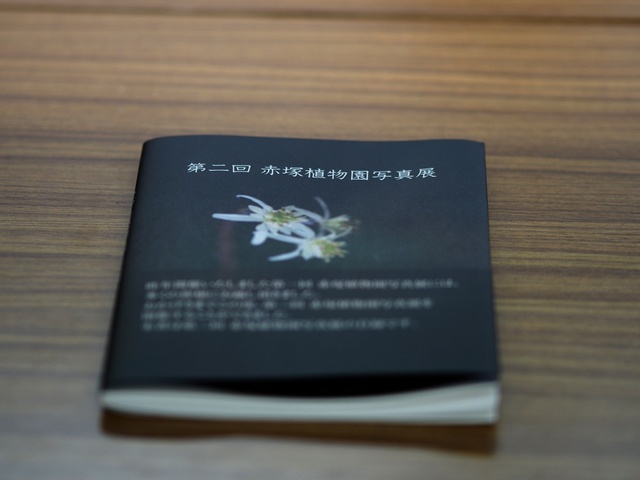 M3058828_2048x1536_補正済.jpg