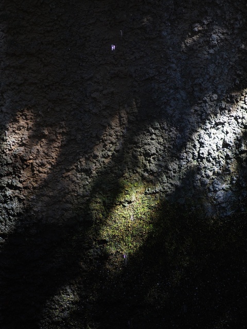 M3058847_2048x1536_補正済.jpg