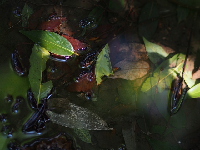 M3058853_2048x1536_補正済.jpg