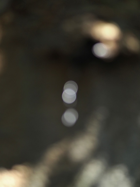 M3058862_2048x1536_補正済.jpg