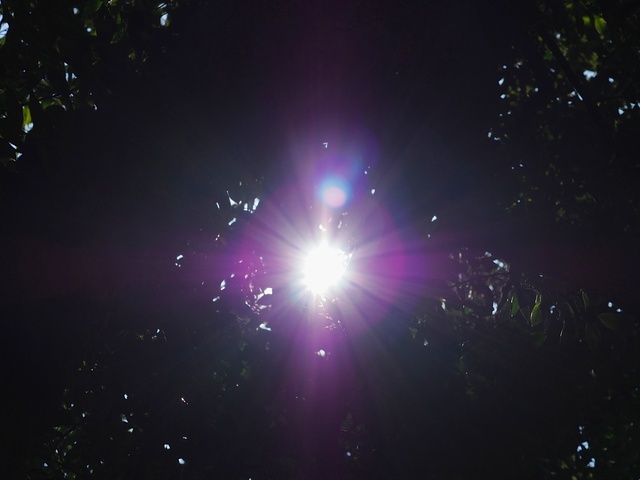 M3058868_2048x1536_補正済.jpg