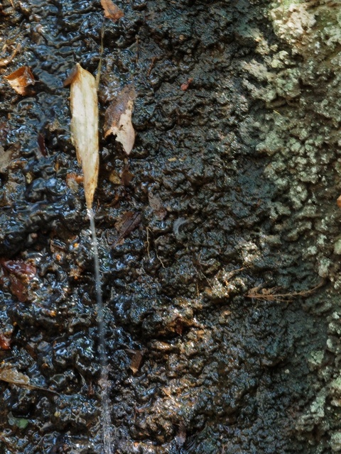 M3058881_2048x1536_補正済.jpg