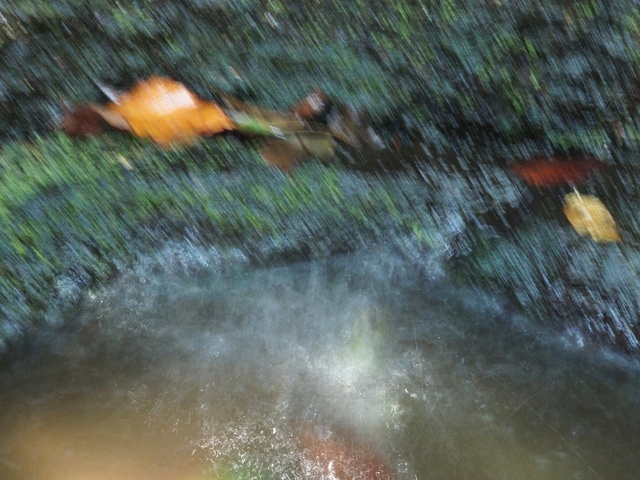 M3058883_2048x1536_補正済.jpg