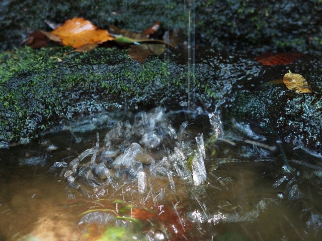 M3058888_2048x1536_補正済.jpg