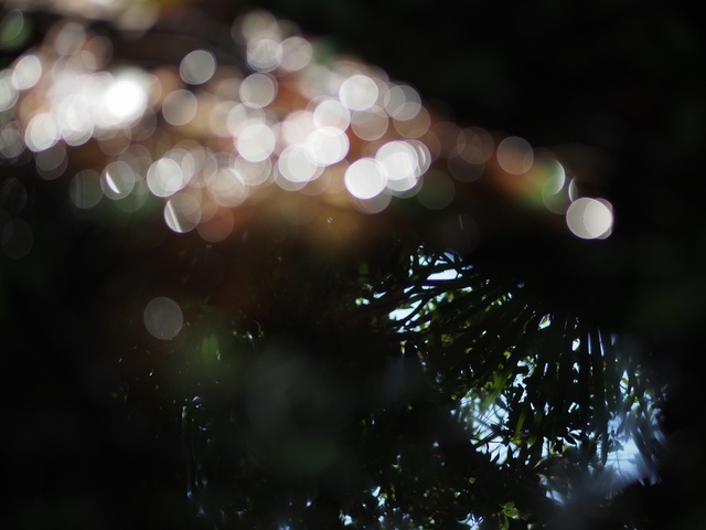 M3058897_2048x1536_補正済.jpg