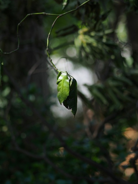 M3058901_2048x1536_補正済.jpg