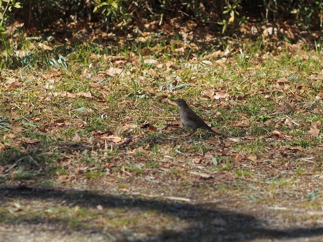 M3058919_2048x1536_補正済.jpg