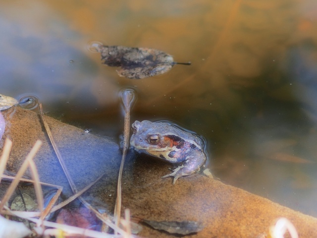 M3058959_2048x1536_補正済.jpg