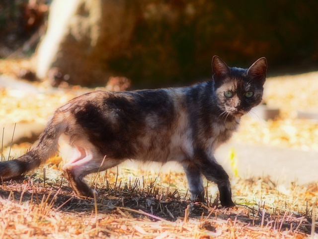 M3059015_2048x1536_補正済.jpg