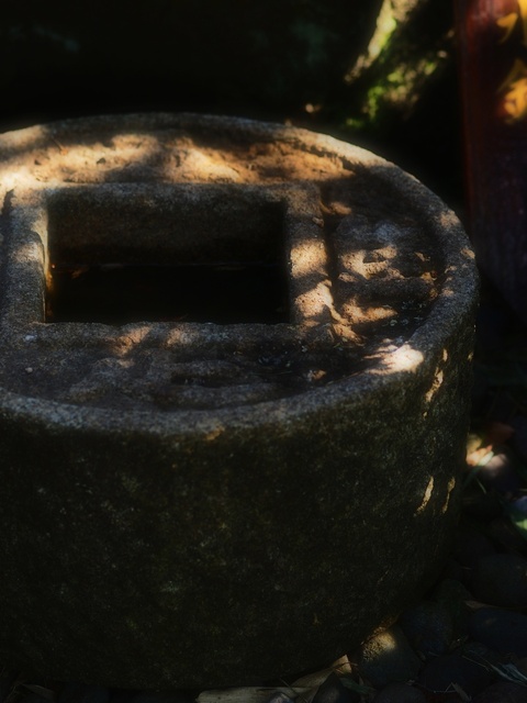 M3059029_2048x1536_補正済.jpg