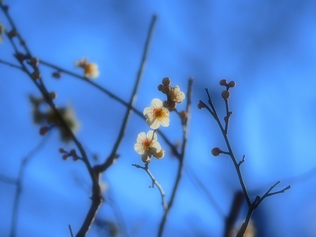 M3059032_2048x1536_補正済.jpg