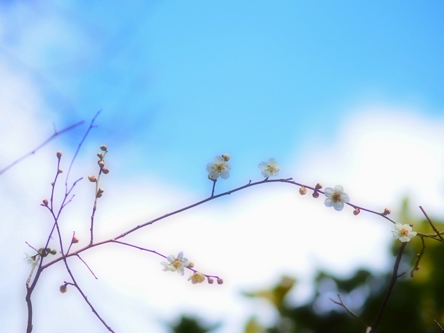 M3059035_2048x1536_補正済.jpg