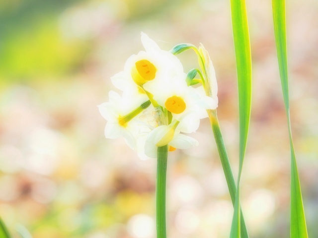M3059054_2048x1536_補正済.jpg